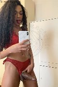 Novara Trans Escort Miele 331 78 08 280 foto selfie 80