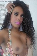 Milano Trans Escort Paolina Mulatta 333 29 10 933 foto selfie 11