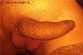 Napoli Trans Escort Vittoria Mazza 334 77 63 969 foto selfie 18