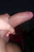 Madrid Trans Gisselle 338 38 95 416 foto selfie 23