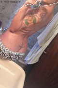 Treviso Trans Valeria 338 87 18 849 foto selfie 1026