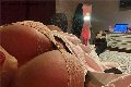Napoli Trans Escort Antonella Victoria 347 39 10 796 foto selfie 4