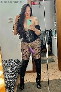 Rotterdam Trans Escort Marcelly 349 08 97 365 foto selfie 59