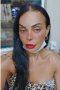 Brescia Trans Kartika 349 22 31 753 foto selfie 245
