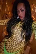 Roma Trans Pryscilla 379 14 66 730 foto selfie 31