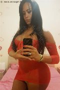 Roma Trans Pryscilla 379 14 66 730 foto selfie 45