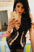 Sesto San Giovanni Trans Escort Ariadna 388 75 19 396 foto selfie 27