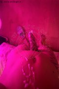Bologna Trans Escort Lara Melo 389 43 41 787 foto selfie 20