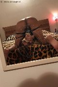  Trans Escort Natalia Rodrigues Pornostar 392 11 96 784 foto selfie 36