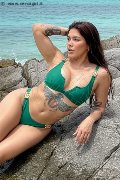 Foto 3201153101 Flavia Trans Como - 3