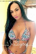 Foto 3246046310 Luana Fernandes Trans Roma - 20