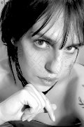 Foto 3275779564 Nina Trans Modena - 5