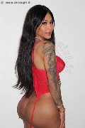 Foto 3293410689 Mikaella Pimentell Pornostar Trans Roma - 5