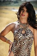 Foto 3313153877 Flavia Bambola Travescort Basilea - 90