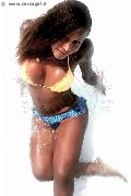 Foto 3396743933 Alessandra Toledo Pornostar Trans Rimini - 225