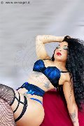 Foto 3472825420 Dior Transescort Genova - 222