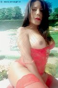 Foto 3508300505 Nikoll Transescort Rovigo - 7