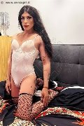 Foto 3512604780 Elisa Travescort Genova - 2