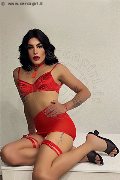 Foto 3512604780 Elisa Travescort Genova - 18