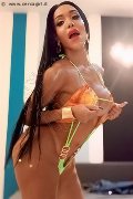 Foto 3518069231 Wanessa Ambrosio Transescort Frosinone - 120