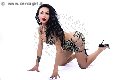 Foto 3891399263 Adriana Paulett Transescort - 136