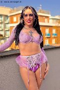 Foto 3927186049 Bianca Mancini Transescort Viareggio - 6