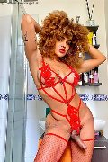 Foto Hot 3295563971 Stella Transescort Milano - 5
