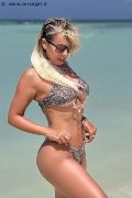 Foto Hot 3313227460 Giuliana Argentina Escort Siracusa - 1