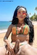 Foto Hot 3518069231 Wanessa Ambrosio Transescort Frosinone - 7