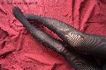 Venezia Escort Tiny Mouse 328 46 90 312 foto selfie 26
