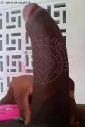 Bologna Trans Escort Naomy Xl 329 01 67 932 foto selfie 116