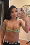 Sanremo Trans Escort Vivy Noronha 333 18 67 209 foto selfie 1